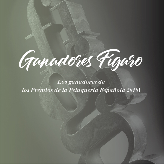 los ganadores de los Premios de la Peluquería Española 2018