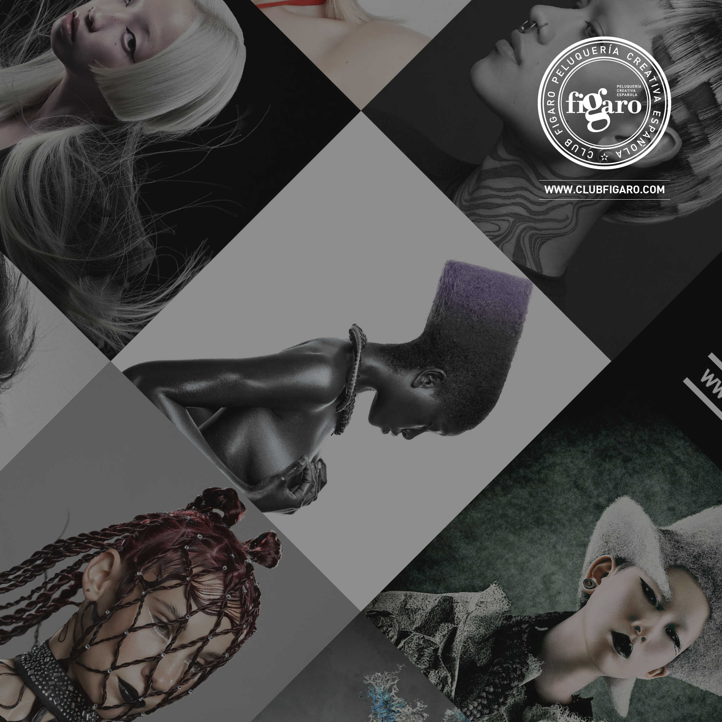 The Fígaro Awards unveil the winners of their 14th edition, in another unforgettable event